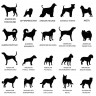 Stèle en plexi transparent pour rendre hommage à votre ami chien, entièrement personnalisable et résistante aux intempéries Stèle en plexi transparent pour rendre hommage à votre ami chien, entièrement personnalisable et résistante aux intempéries