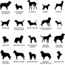 Stèle en plexi transparent pour rendre hommage à votre ami chien, entièrement personnalisable et résistante aux intempéries Stèle en plexi transparent pour rendre hommage à votre ami chien, entièrement personnalisable et résistante aux intempéries