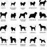 Stèle en plexi transparent pour rendre hommage à votre ami chien, entièrement personnalisable et résistante aux intempéries Stèle en plexi transparent pour rendre hommage à votre ami chien, entièrement personnalisable et résistante aux intempéries