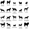 Stèle en plexi transparent pour rendre hommage à votre ami chien, entièrement personnalisable et résistante aux intempéries Stèle en plexi transparent pour rendre hommage à votre ami chien, entièrement personnalisable et résistante aux intempéries