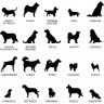 Stèle en plexi transparent pour rendre hommage à votre ami chien, entièrement personnalisable et résistante aux intempéries Stèle en plexi transparent pour rendre hommage à votre ami chien, entièrement personnalisable et résistante aux intempéries