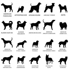 Stèle funéraire en ardoise naturelle personnalisable en souvenir d'un chien