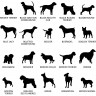 Stèle funéraire en ardoise naturelle personnalisable en souvenir d'un chien Stèle funéraire en ardoise naturelle personnalisable en souvenir d'un chien