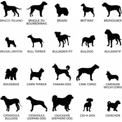 Stèle funéraire en ardoise naturelle personnalisable en souvenir d'un chien