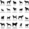 Stèle funéraire en ardoise naturelle personnalisable en souvenir d'un chien Stèle funéraire en ardoise naturelle personnalisable en souvenir d'un chien