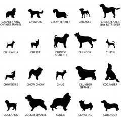 Plaque ronde commémorative funéraire pour chien en ardoise personnalisable pour planter en terre