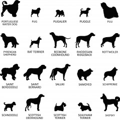 Plaque ronde commémorative funéraire pour chien en ardoise personnalisable pour planter en terre