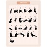 Stèle en plexi transparent pour rendre hommage à votre ami chat, entièrement personnalisable et résistante aux intempéries Stèle en plexi transparent pour rendre hommage à votre ami chat, entièrement personnalisable et résistante aux intempéries