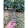 Stèle en plexiglas transparent – hommage à votre lapin Stèle en plexiglas transparent – hommage à votre lapin